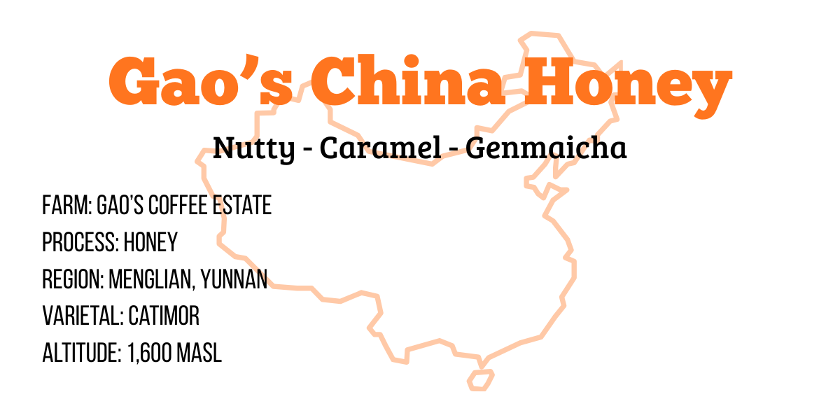 Gao's China Honey, 227g