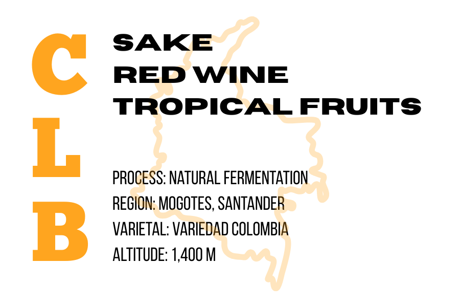 Colombia - Natural Fermentation, 340g