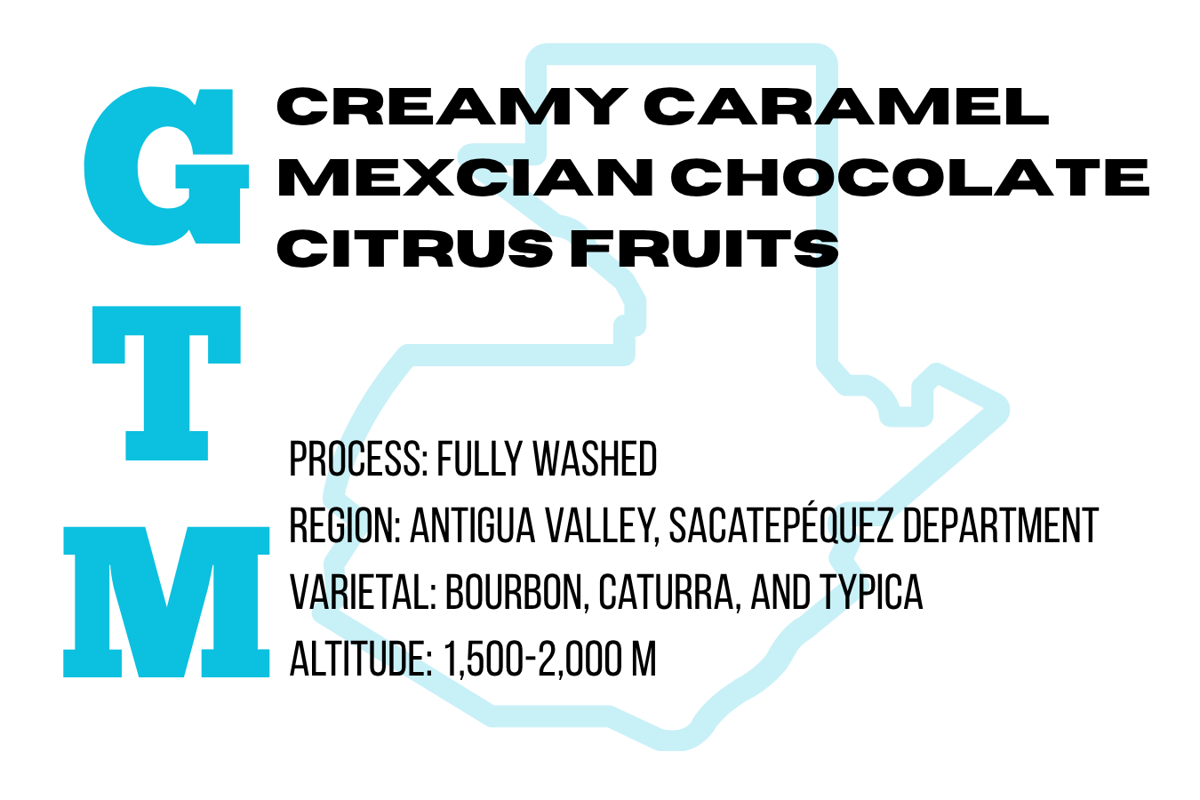 Guatemala - Washed, 340g