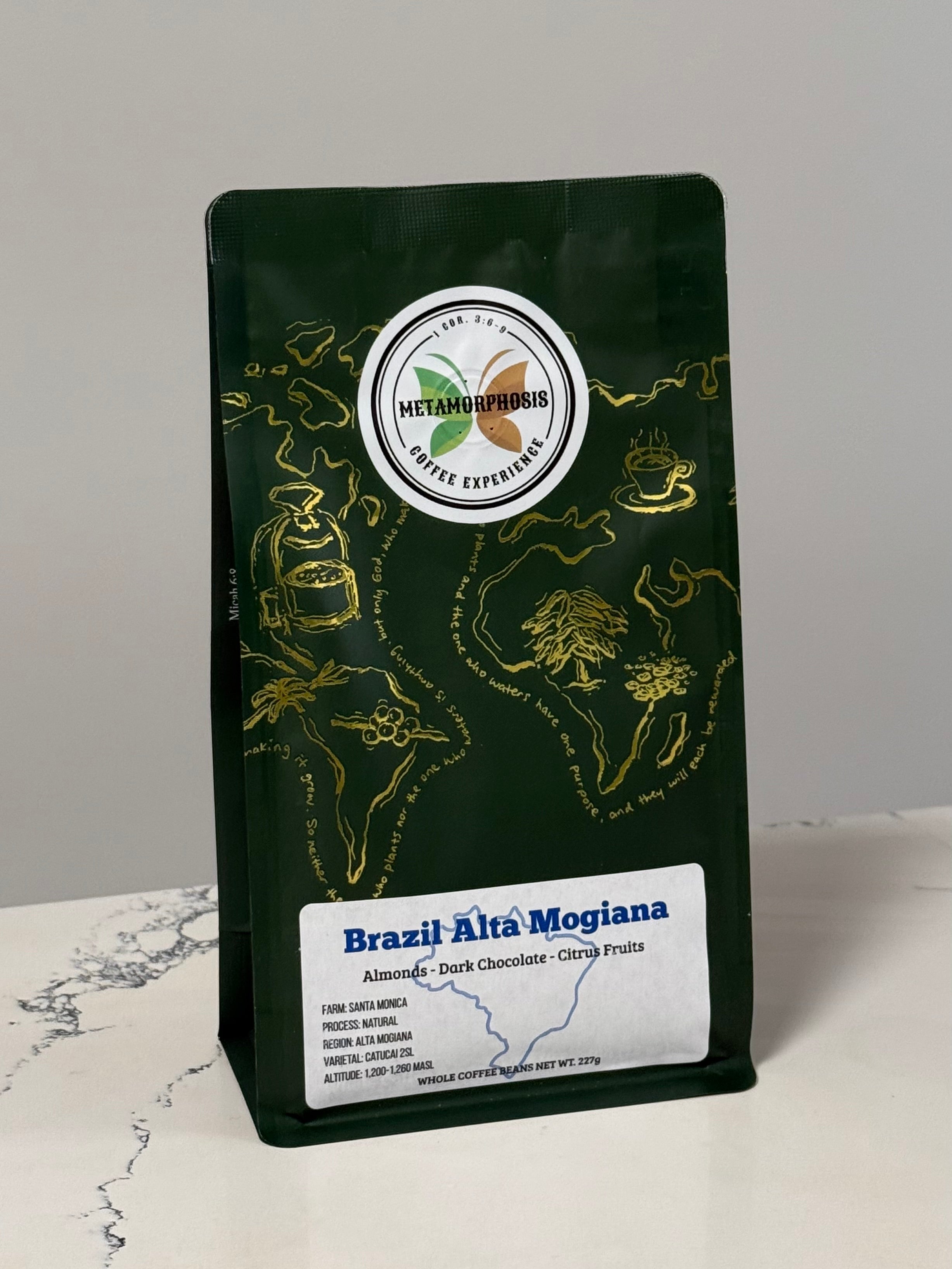 Sicilia オアハカ　2株 Brazil Alta Mogiana, 227g – Metamorphosis Coffee Experience